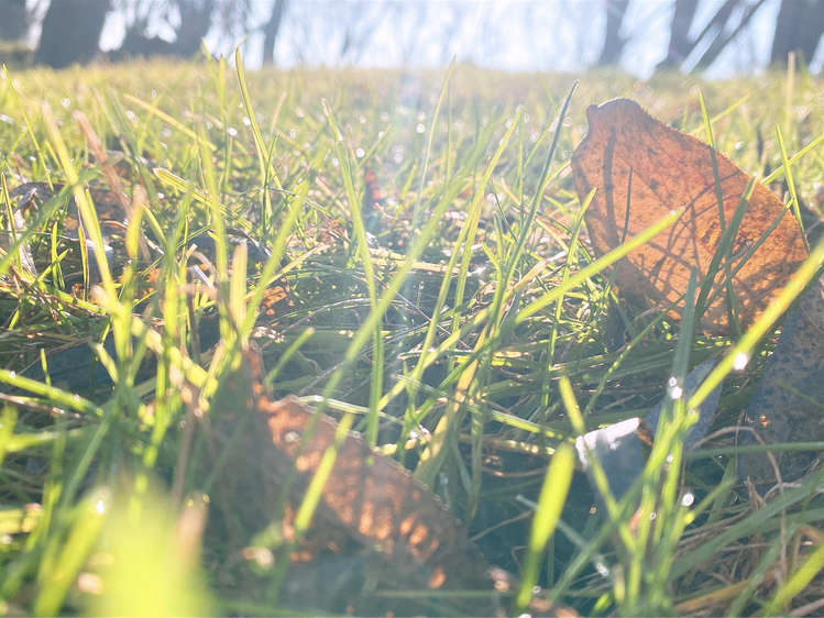 太阳成·(中国游)有限公司官网