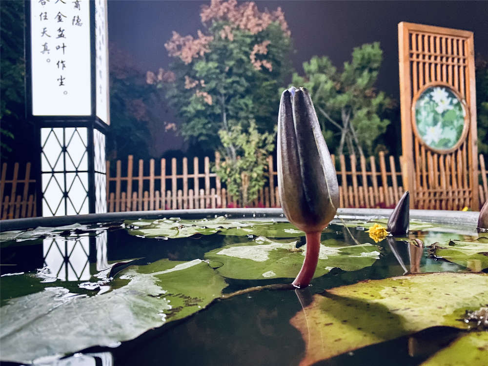 太阳成·(中国游)有限公司官网