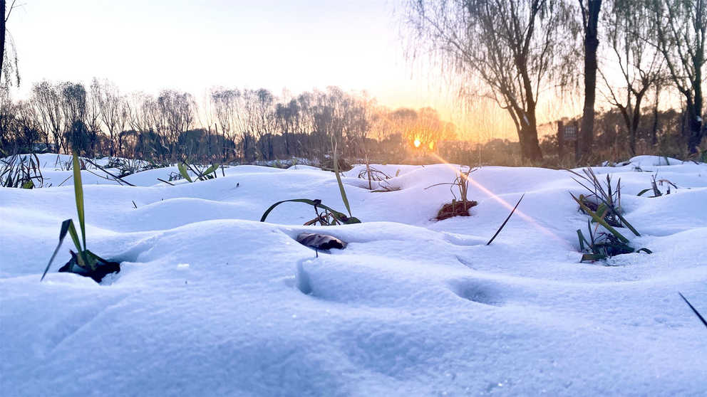 太阳成·(中国游)有限公司官网