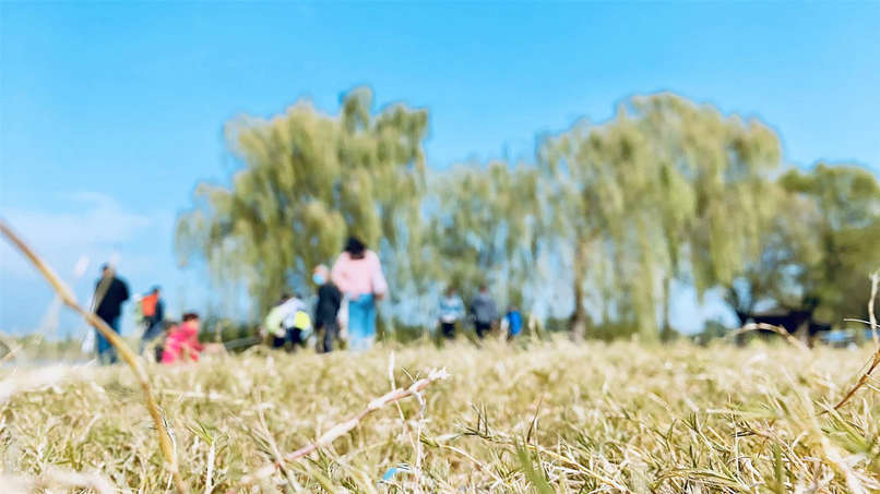 太阳成·(中国游)有限公司官网