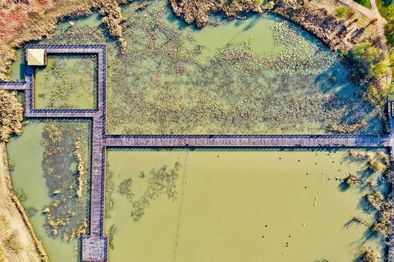 太阳成·(中国游)有限公司官网